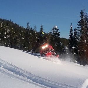 Meet your Posher, Bill